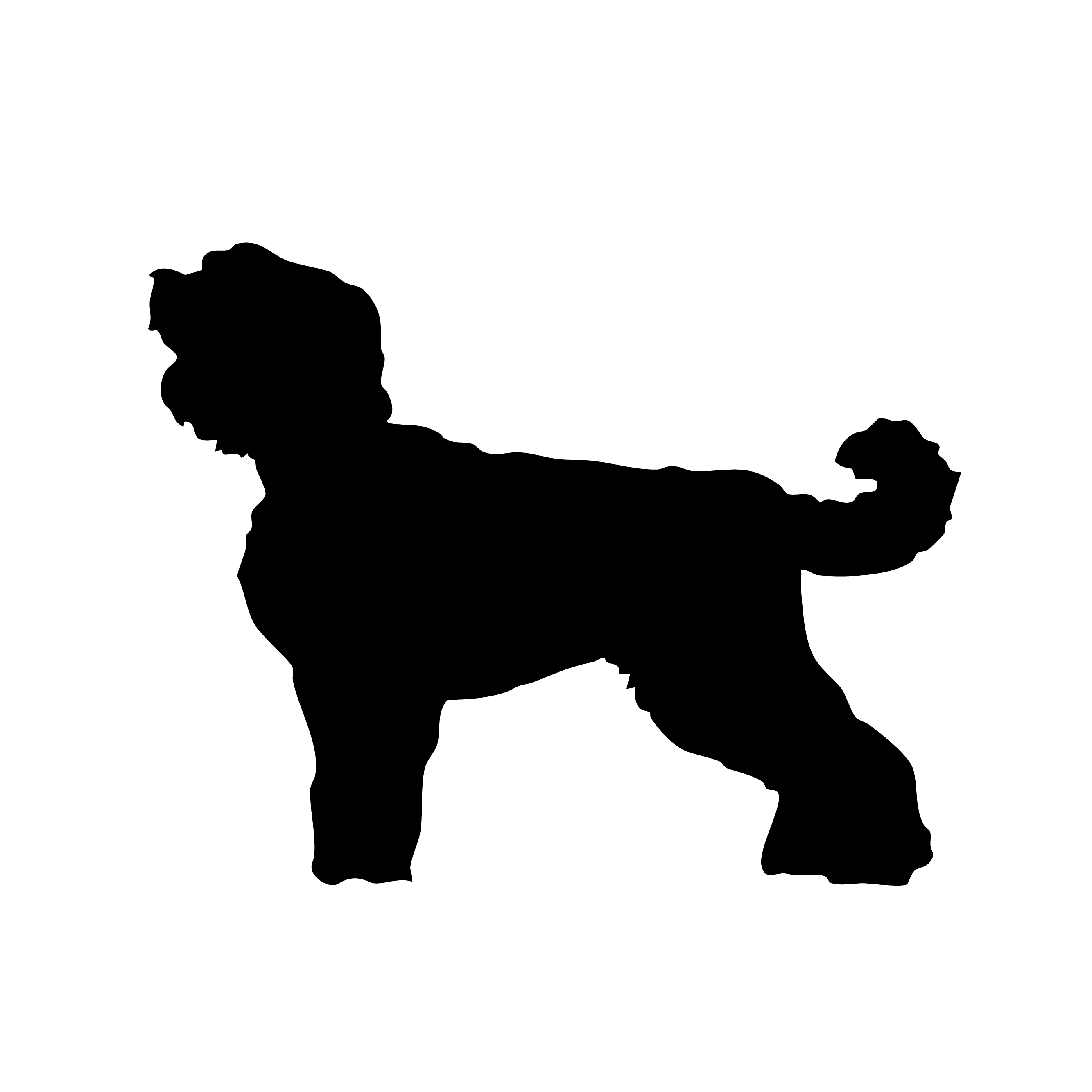 Black Russian Terrier